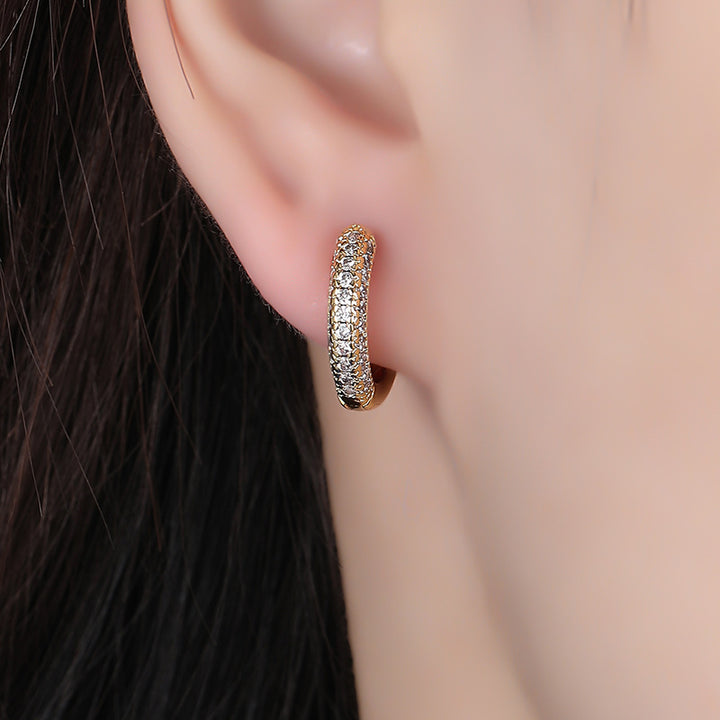 Niche High-grade Light Luxury All-matching Earrings For Summer