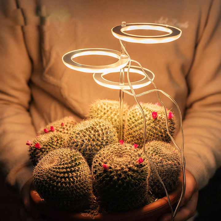 LED GROW LICHT Volledig spectrum Phyto Grow Lamp USB Phyto -lamp voor planten groeifelverlichting voor binnenplant