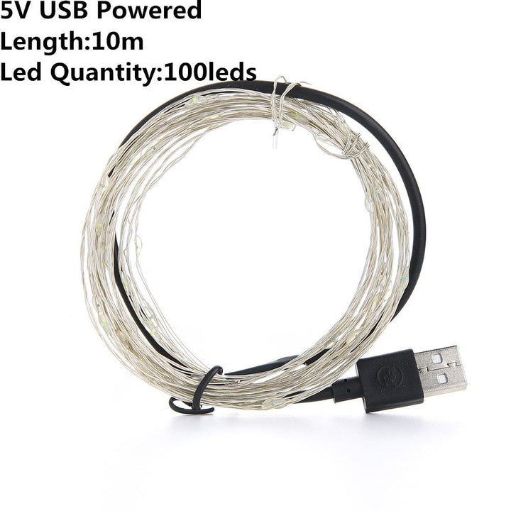 Коледна светлина LED външна батерия USB захранване 2m 5m10m String Lights Cooper Wire Garland Wedding Paint Decoration Fairy Lights