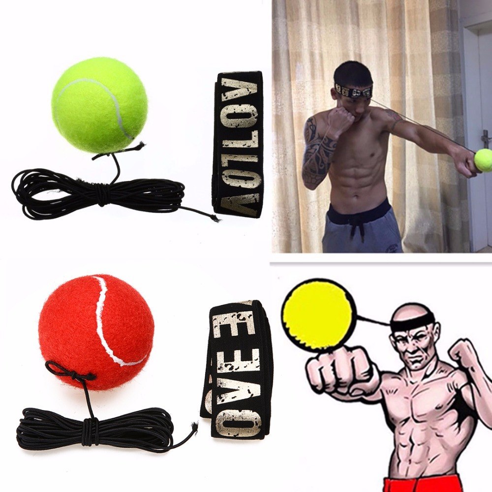 Boxreflex Speed ​​Punch Ball