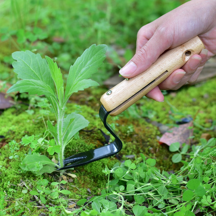 Dispositivo de enraizamento de ervas daninhas da ferramenta de jardim e mudas