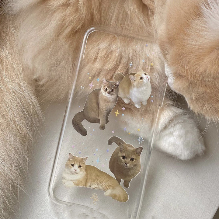 Cat Master cep telefonu kasası şeffaf