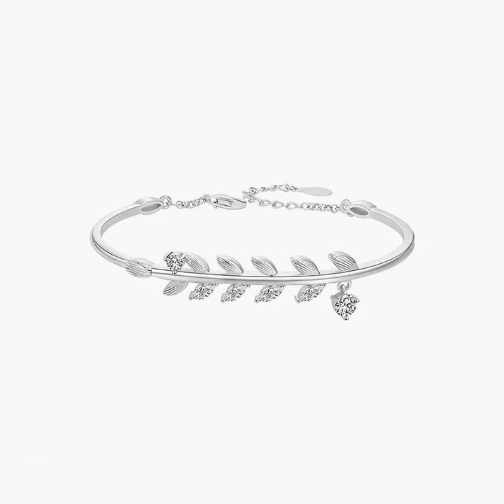S925 Silver Bracelet Vrouwelijke opening