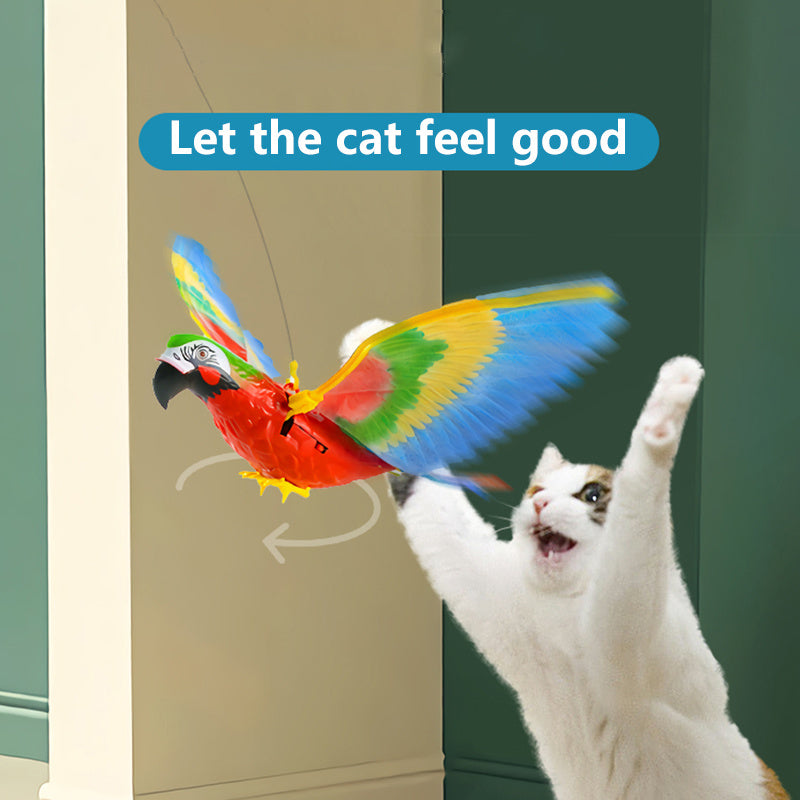 Simulation Bird Cat interactif Pet Toys suspendu aigle volant taasering jouer chaton toys toys animaux accessoires de chat fournit