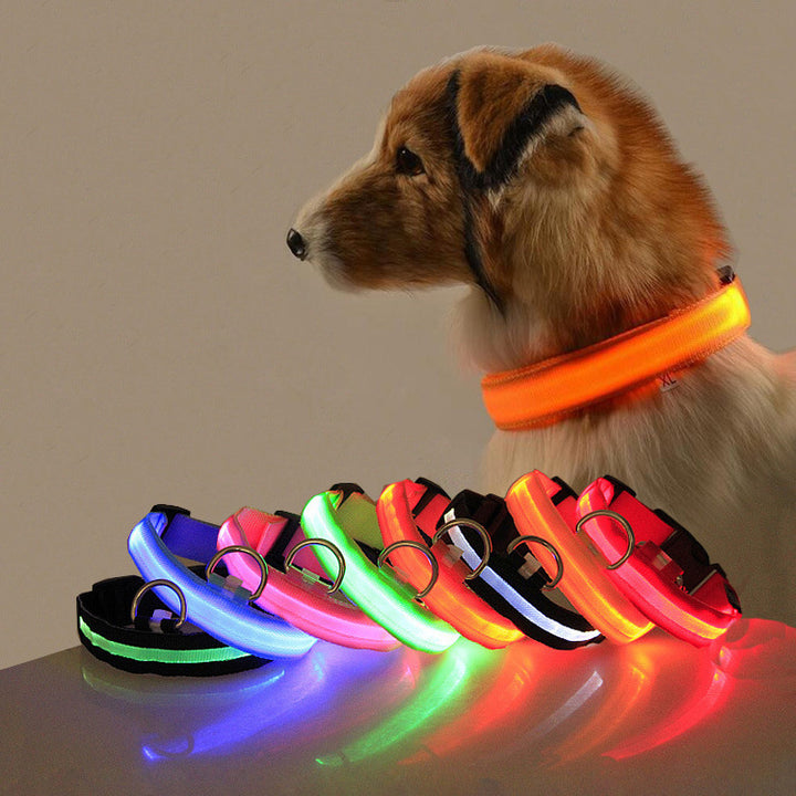 Collier LED de chien de sécurité