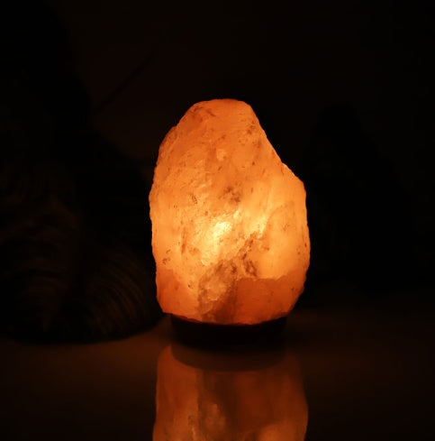 Lampe de lampe à sel en cristal lampe créative décoration cadeau lampe au sel de rose lampe de chevet de nuit