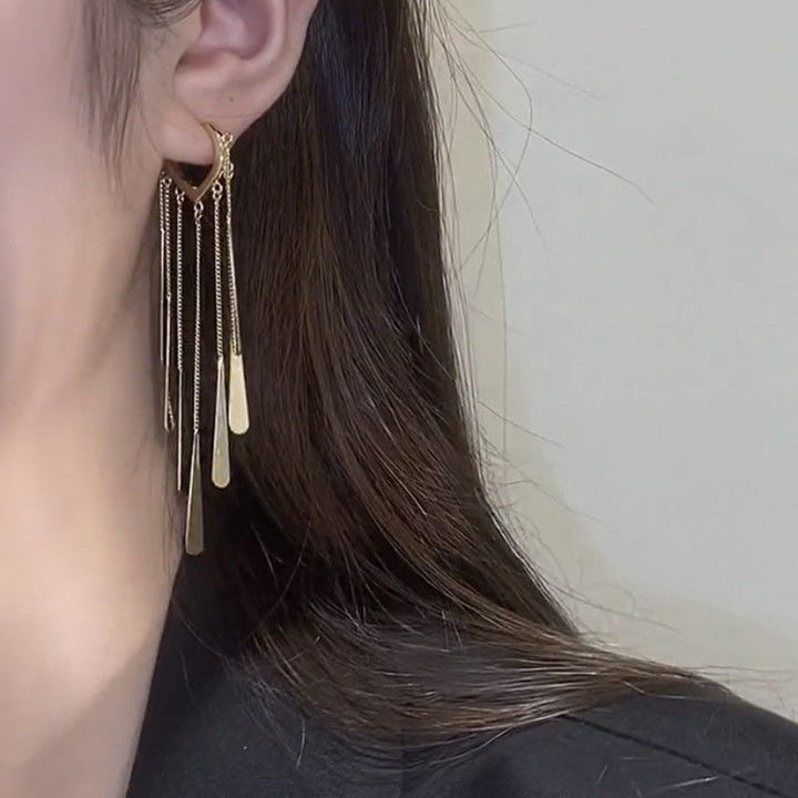 Lange franje oorbellen speciaal interessant ontwerp vrouwen