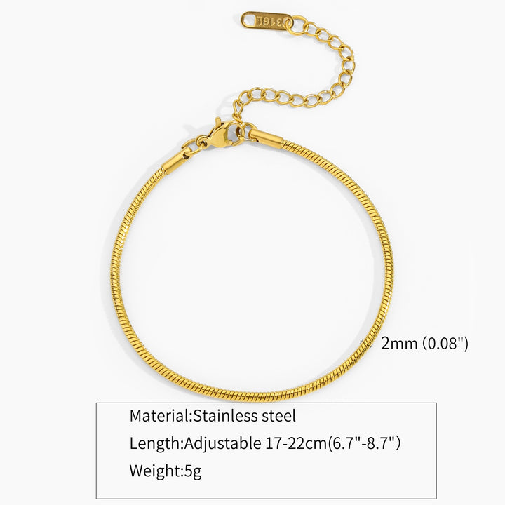 Simple Ins Titanium Steel Plated 18K Gold Round Snake Bones Chain Gold-plated Bracelet Adjustable Bracelet Niche Design Fashion