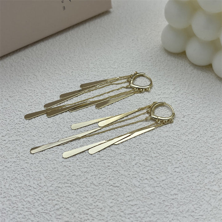 Long Fringe Earrings Special-interest Design Women