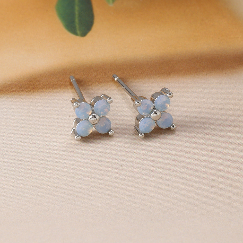 Espárragos de orejas de flores azul