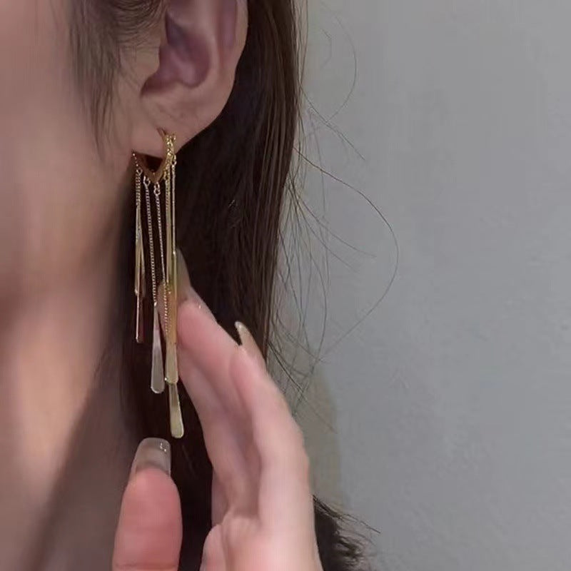 Lange franje oorbellen speciaal interessant ontwerp vrouwen