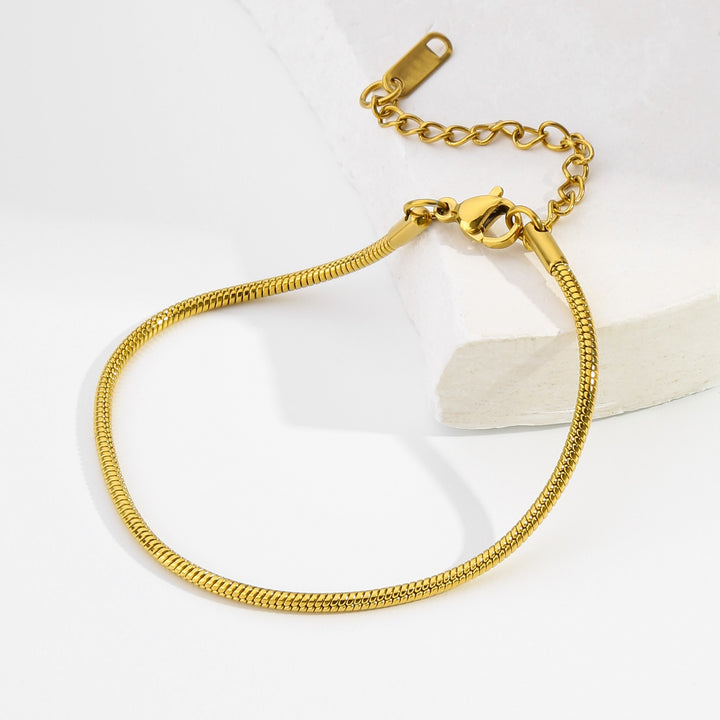 Simple Ins Titanium Steel Plated 18K Gold Round Snake Bones Chain Gold-plated Bracelet Adjustable Bracelet Niche Design Fashion
