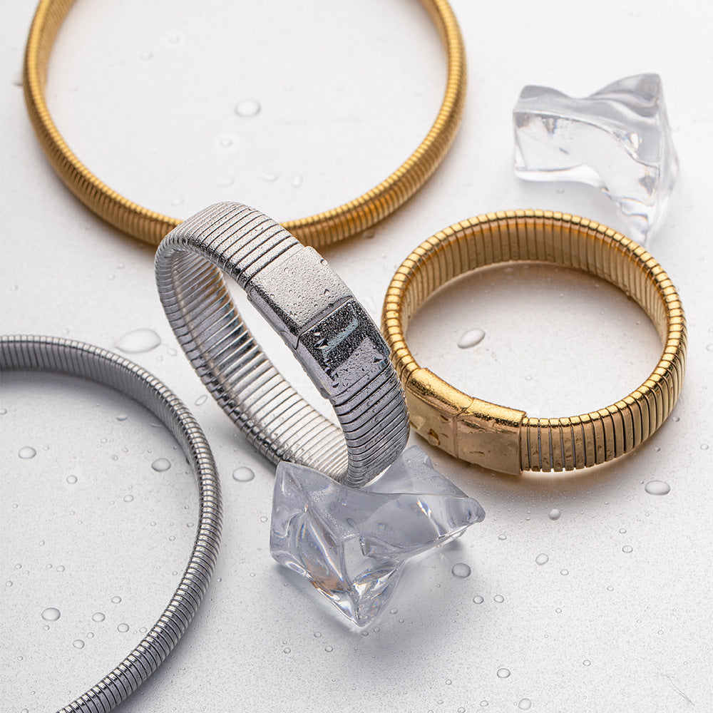 Titanium Steel Single-layer Elastic Snake Chain Bracelet Collar