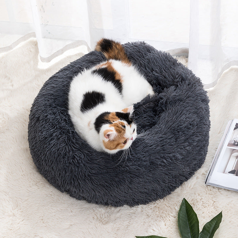 Hiver Chyd Pet Bed Pet Supplies Cat Pet Lit
