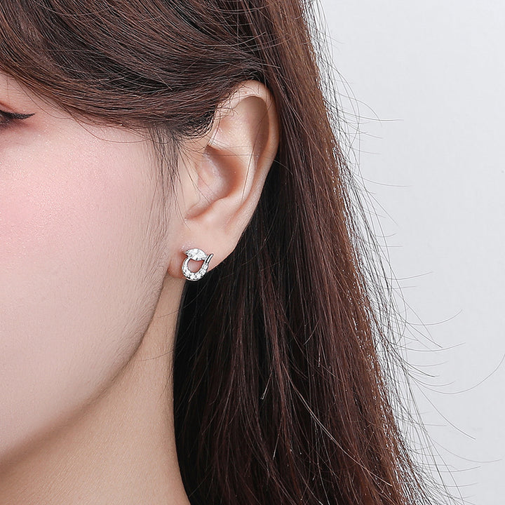 Women's Heart-shaped Zircon Stud Earrings